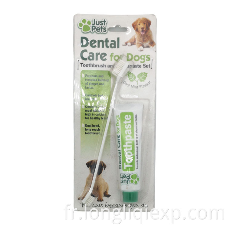 Ensemble de brosse à dents et de dentifrice Cool Mint Saveur pour chiens